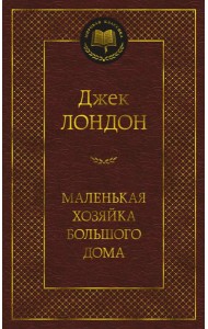 Маленькая хозяйка большого дома: роман