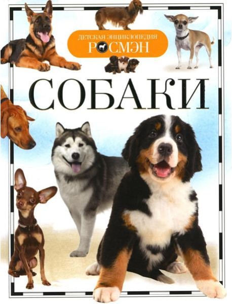 Собаки
