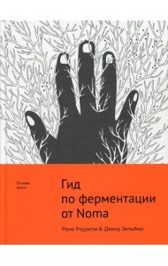 Гид по ферментации от Noma