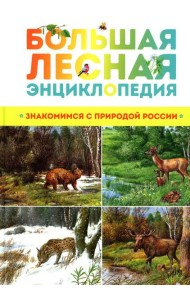 Большая лесная энциклопедия. Знакомимся с природой России