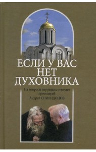Если у вас нет духовника. На вопросы верующих отвечает протоиерей Андрей Спиридонов. 3-е изд