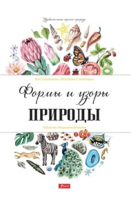 Формы и узоры природы