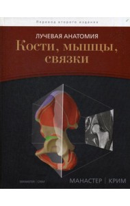 Лучевая анатомия. Кости, мышцы, связки