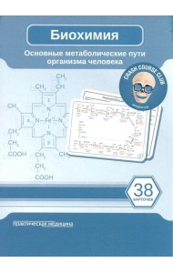 Биохимия. Основные метаболические пути организма человека (38 карточек)