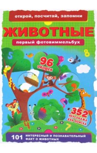 Книга-картонка 