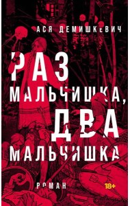 Раз мальчишка, два мальчишка: роман