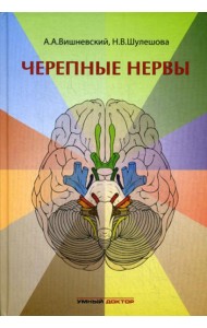 Черепные нервы