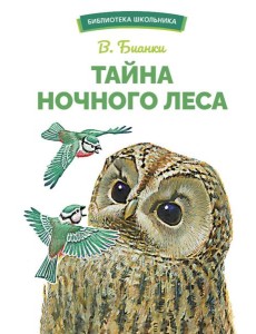 Тайна ночного леса. Сказка и рассказ