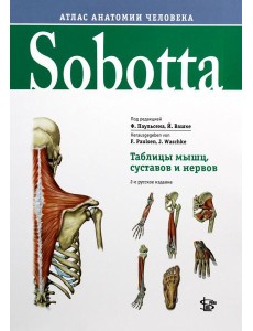 Sobotta. Таблицы мышц, суставов и нервов