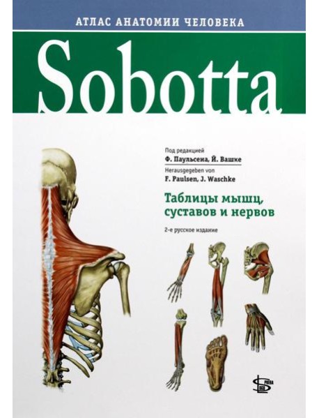 Sobotta. Таблицы мышц, суставов и нервов
