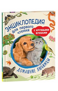 Домашние любимцы