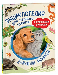 Домашние любимцы