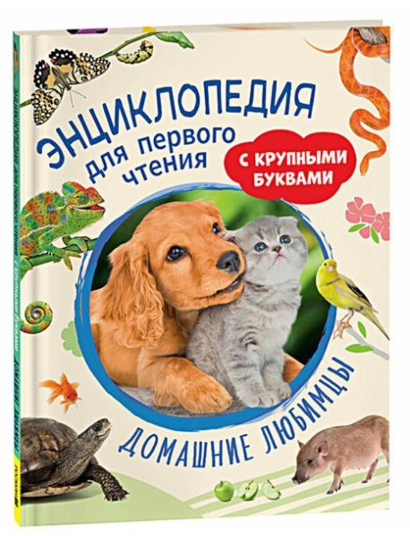 Домашние любимцы