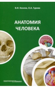Анатомия человека: Учебное пособие. 4-е изд., стер