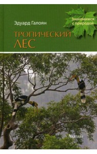Тропический лес