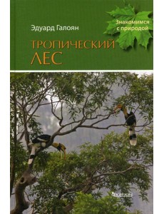 Тропический лес Тропический лес