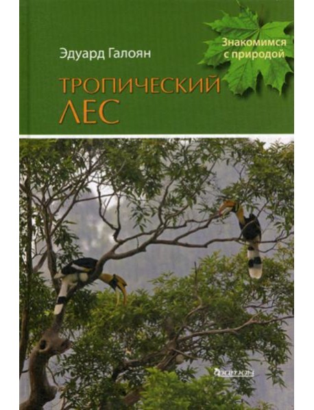 Тропический лес