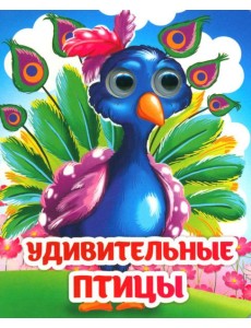 Веселые глазки. Удивительные птицы