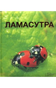 Ламасутра