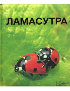 Ламасутра Ламасутра