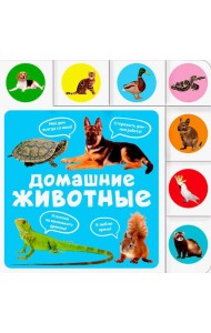 Домашние животные