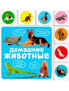 Домашние животные Домашние животные