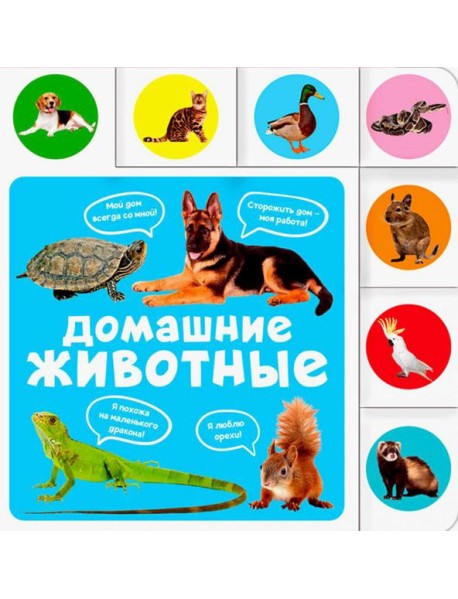 Домашние животные