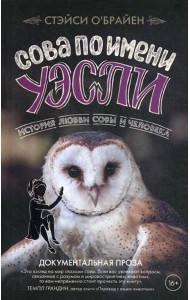 Сова по имени Уэсли. История любви совы и человека