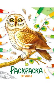 Птицы: раскраска