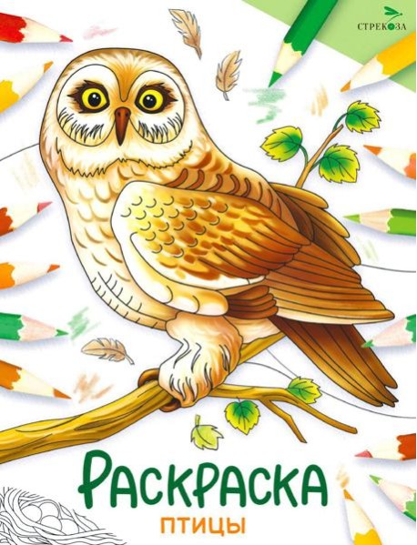 Птицы: раскраска