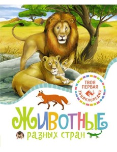 Животные разных стран Животные разных стран