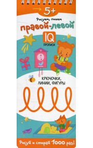 Рисуем, пишем правой-левой. Крючочки, линии, фигуры. (Многоразовые прописи на пружинке 5+)