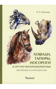 Лошади, тапиры, носороги и другие непарнокопытные: эволюция и разнообразие