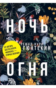 Ночь огня: роман. (обл.)