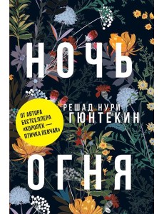 Ночь огня: роман. (обл.)