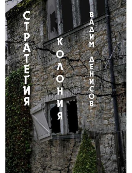 Стратегия. Колония