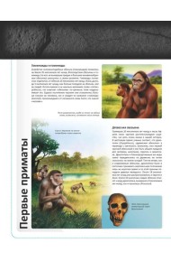 Человек в доисторические времена. Детская энциклопедия