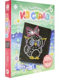 257312 Картина из страз Совушка