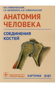 Анатомия человека. Соединения костей. Карточки: наглядное учебное пособие