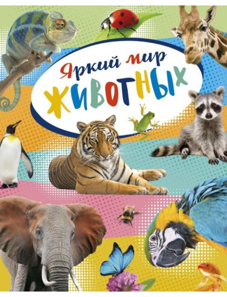 Яркий мир животных