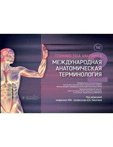 Международная анатомическая терминология [ТА2]