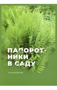 Папоротники в саду
