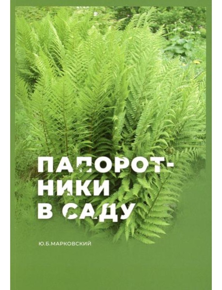 Папоротники в саду