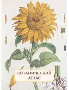 Ботанический атлас. Н.П. Животовский Ботанический атлас. Н.П. Животовский