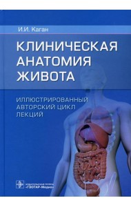 Клиническая анатомия живота. Иллюстрированный авторский цикл лекций