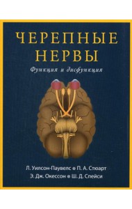 Черепные нервы. Функция и дисфункция