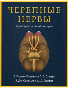 Черепные нервы. Функция и дисфункция