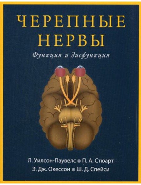 Черепные нервы. Функция и дисфункция