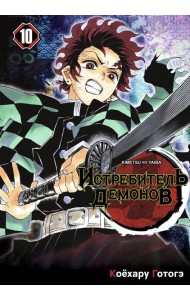 Истребитель демонов. Т. 10: Человек и демон: манга