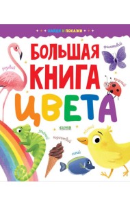 Большая книга. Цвета